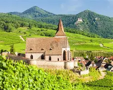 熊猫直播平台官方-法国杯转会期再迎强敌，国际米兰官宣签约，主帅态度——目标明确，球探报告显示潜力