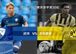 熊猫体育官方网站-多特蒙德德国杯首轮